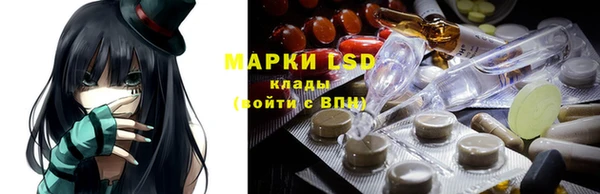 дживик Елизово