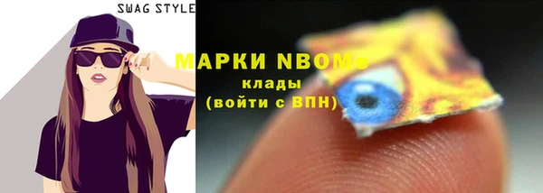 молекула духа Елабуга