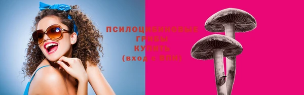 молекула духа Елабуга