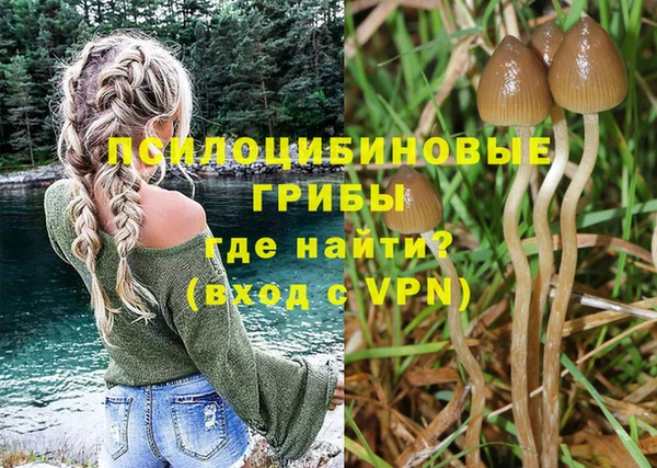молекула духа Елабуга