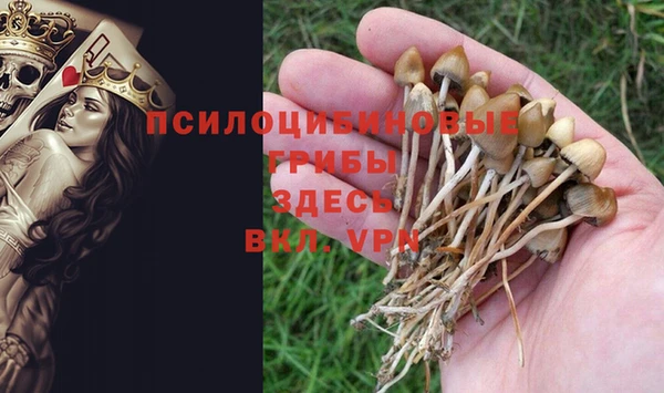 гидропоника Ельня