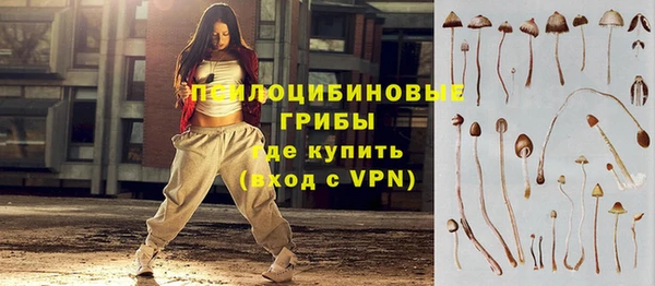 гидропоника Ельня