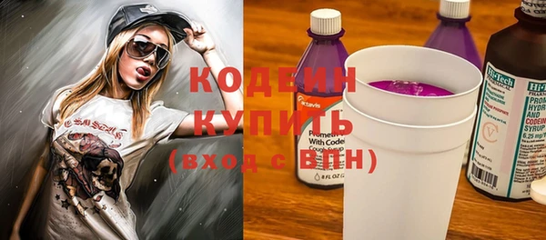 молекула духа Елабуга