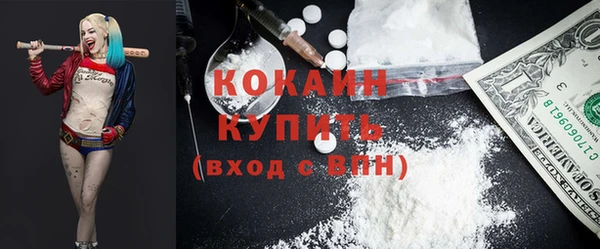 дживик Елизово