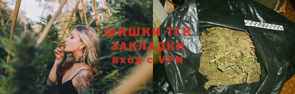 молекула духа Елабуга