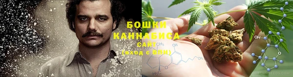 дживик Елизово